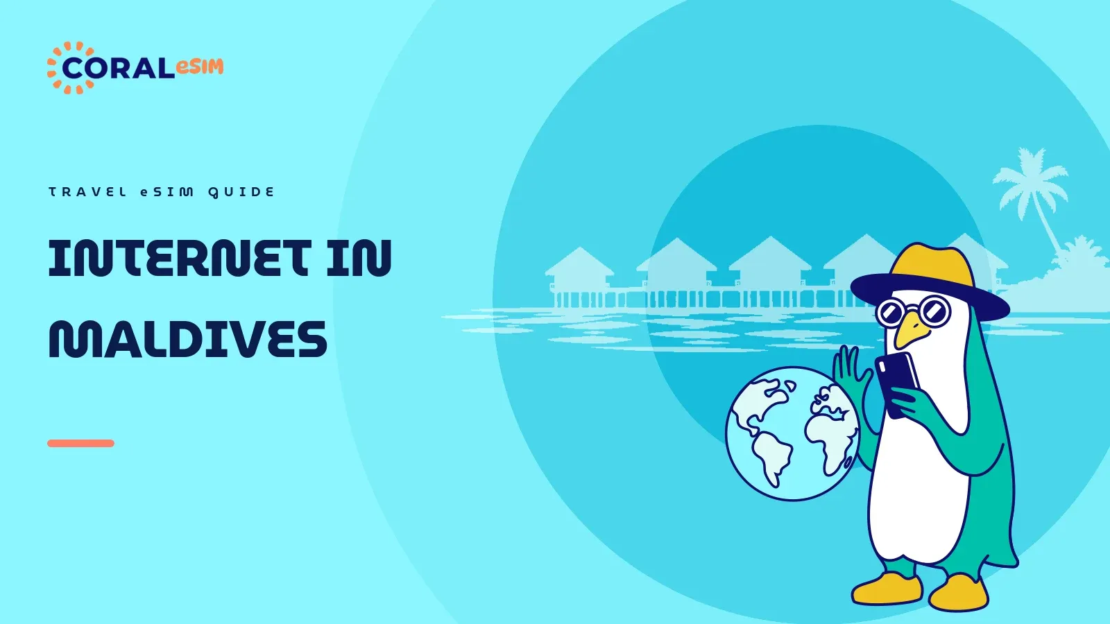 Internet in the Maldives