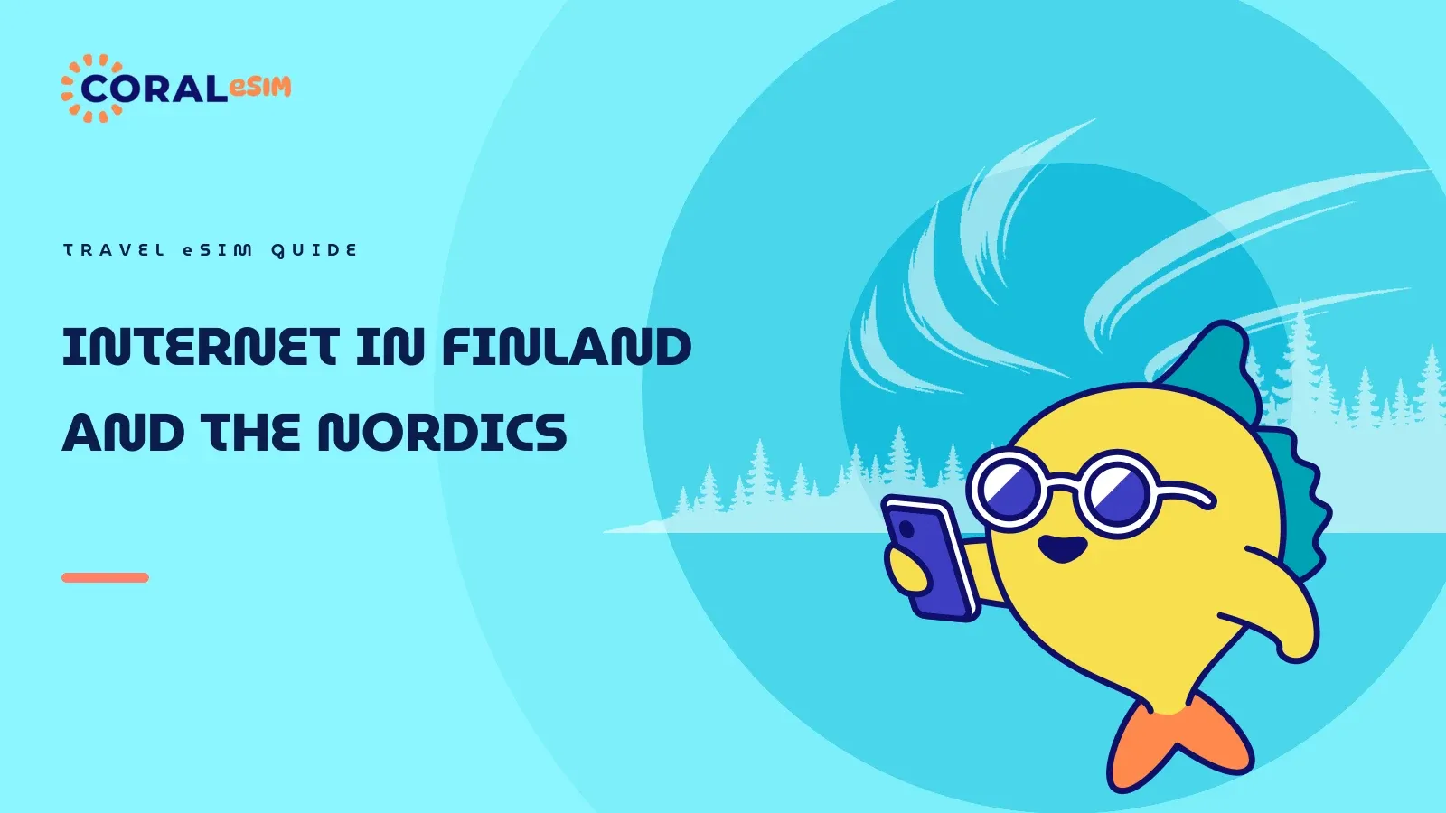 Internet in Finland and the Nordics