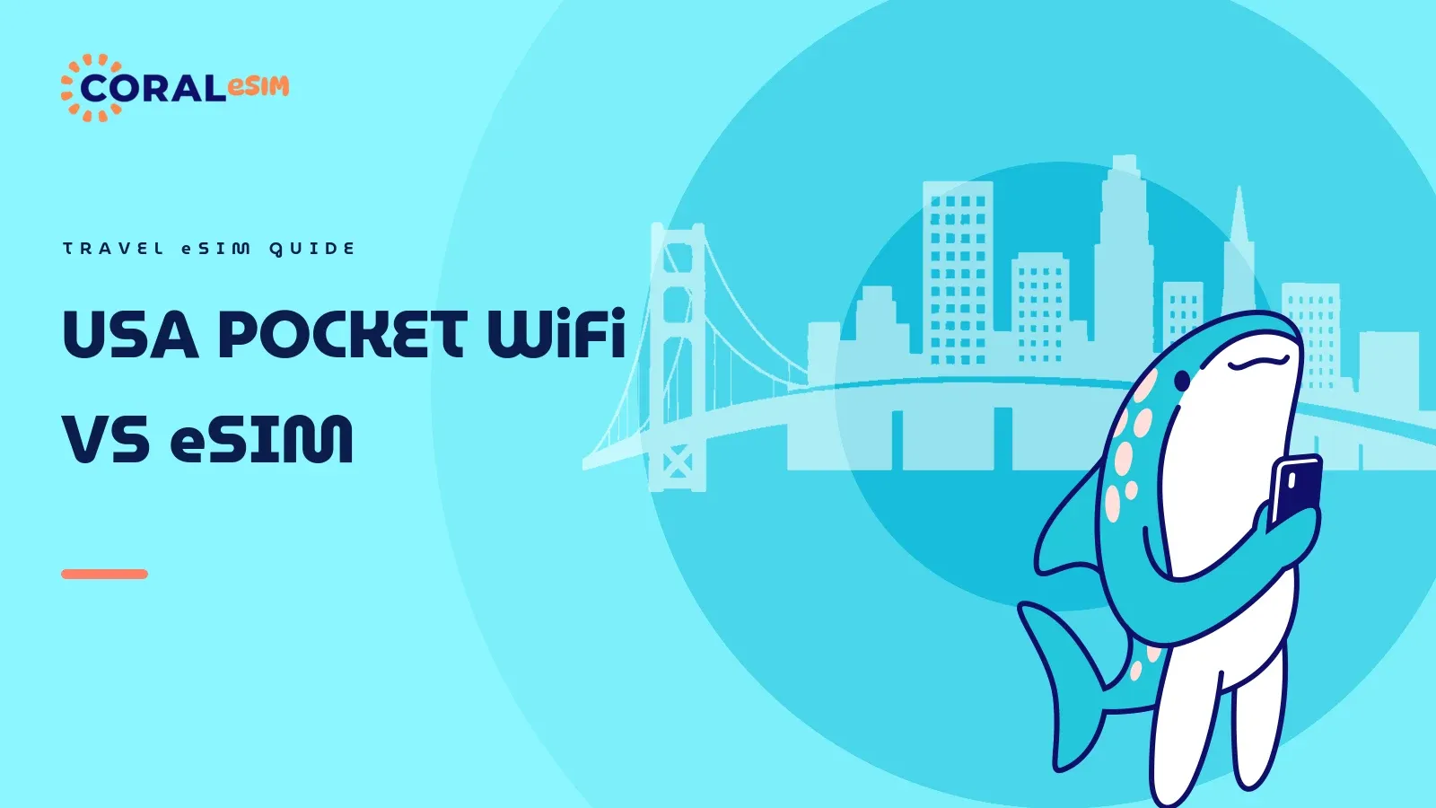 USA Pocket WiFi vs eSIM