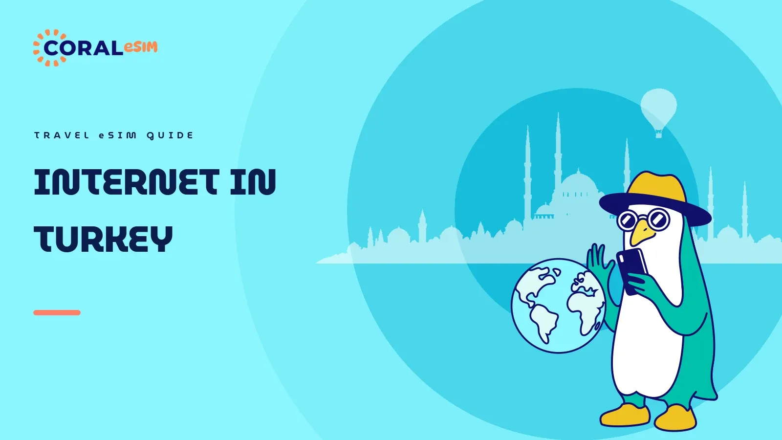Internet in Turkey