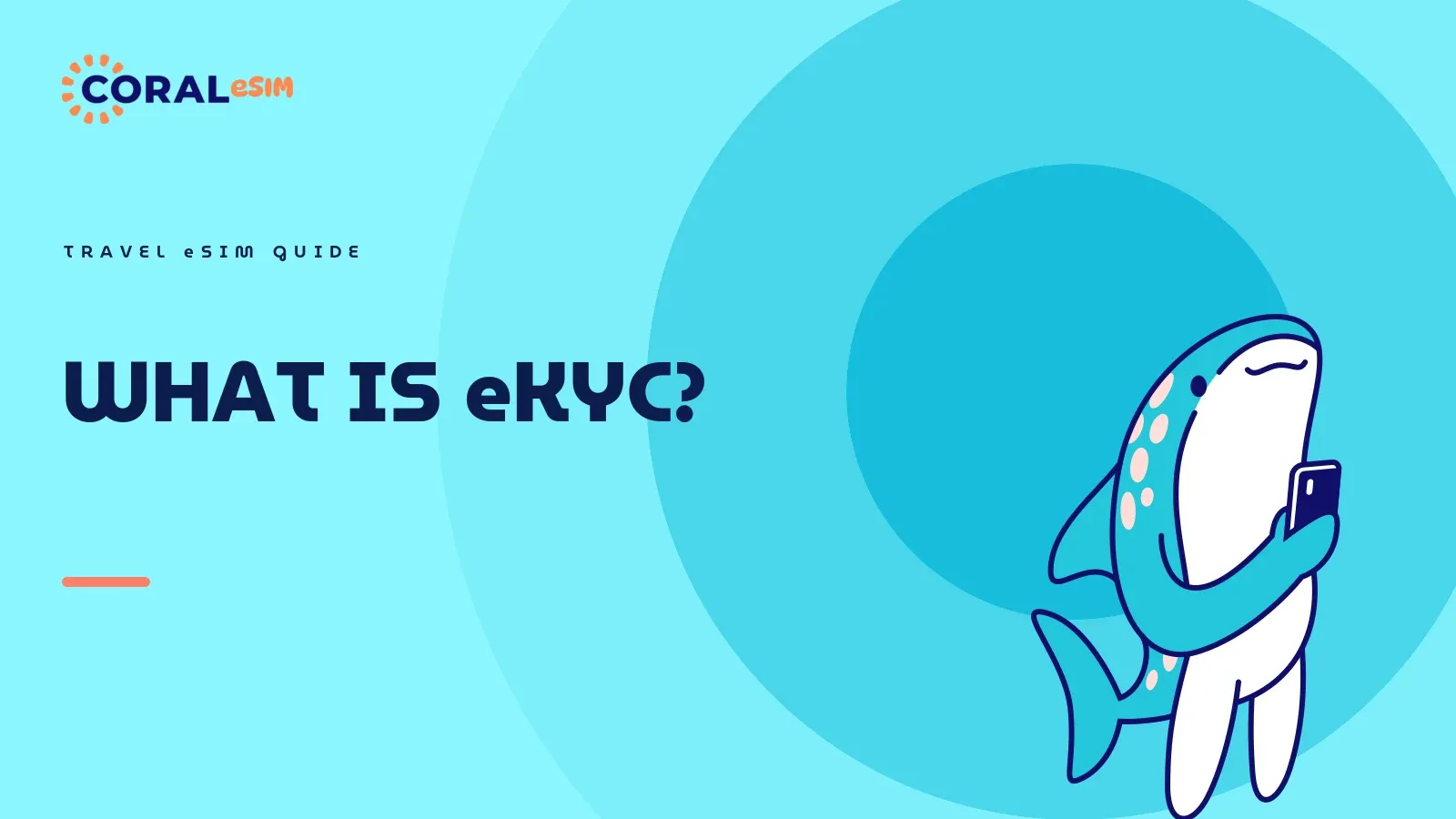 eKYC是什么 说明文章的配图。以海洋渐变为背景的扁平矢量插画